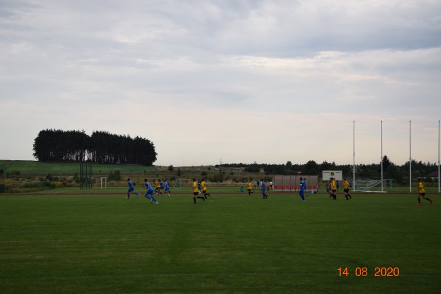 plewis 29